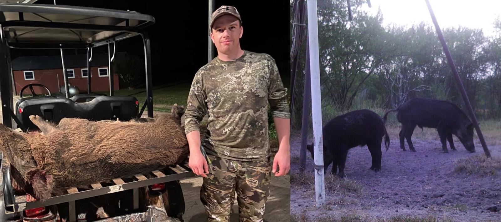 South Texas Free Range Hogs Hunting