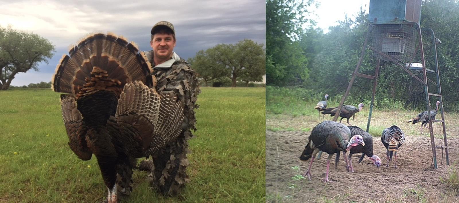 South Texas Free Range Turkey Hunting